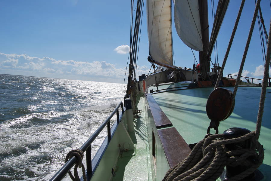 IJsselmeer - Am Ufer entlang des IJsselmeers segeln