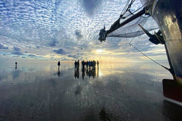 Trockenfallen im Watt - Trockenfallen im niederländischen Wattenmeer