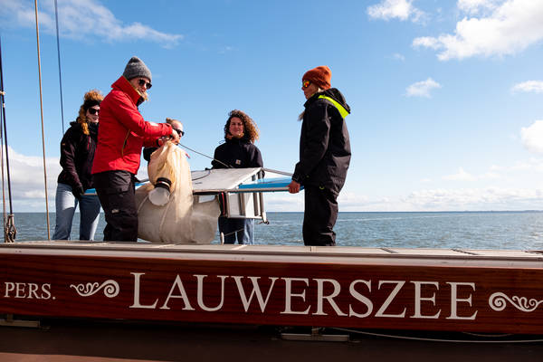 Segelblog - Plastikexpedition auf der Lauwerszee: Sauberes Manöver fürs Wattenmeer