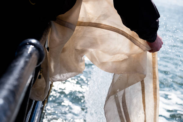 Segelblog - Plastikexpedition auf der Lauwerszee: Sauberes Manöver fürs Wattenmeer