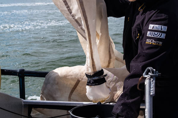 Segelblog - Plastikexpedition auf der Lauwerszee: Sauberes Manöver fürs Wattenmeer