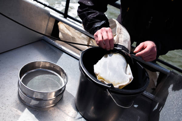 Segelblog - Plastikexpedition auf der Lauwerszee: Sauberes Manöver fürs Wattenmeer