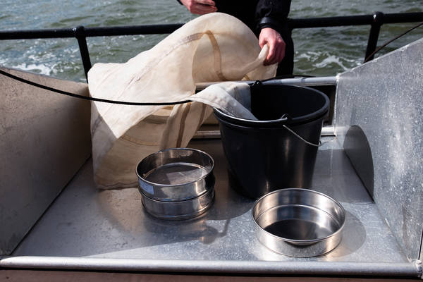 Segelblog - Plastikexpedition auf der Lauwerszee: Sauberes Manöver fürs Wattenmeer